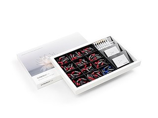 Synergy D6 Limitd Edition Kit Tips Promo