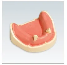 Frasaco Modell ANA-4 UK 218