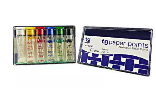 tg Pappersspetsar ISO 10 lila 200st
