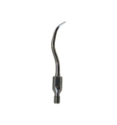 Woodpecker Tip GK1 Scaler KaVo