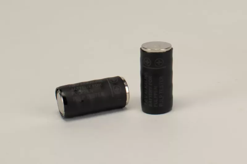 Pulppen Batteri 2st