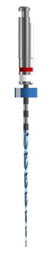 Race EVO  31mm 15/.06  6st