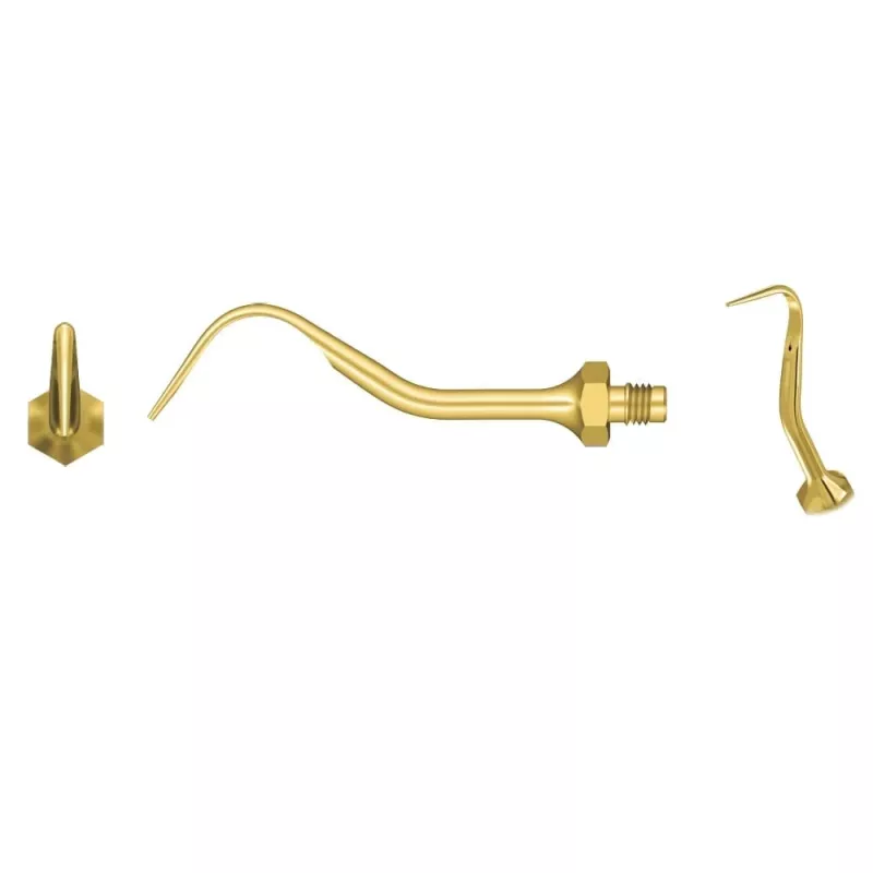 Woodpecker Tip A1T Scaler Amdent