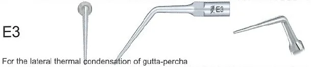 Woodpecker Tip E3 Endo EMS