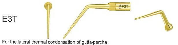 Woodpecker Tip E3T Endo EMS