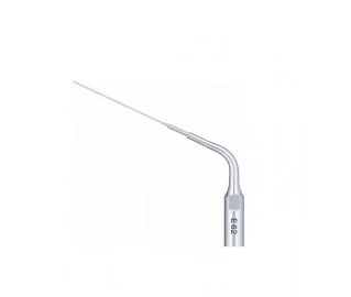 Woodpecker Tip E62 Endo EMS