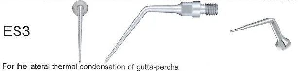 Woodpecker Tip ES3 Endo Sirona