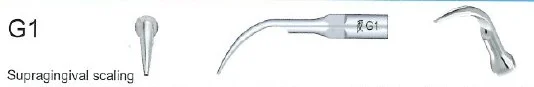 Woodpecker Tip G1 Scaler EMS