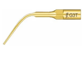 Woodpecker Tip G3T Scaler EMS