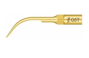 Woodpecker Tip G5T Scaler EMS