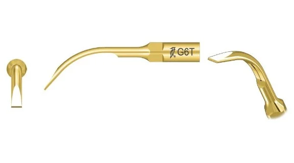 Woodpecker Tip G6T Scaler EMS
