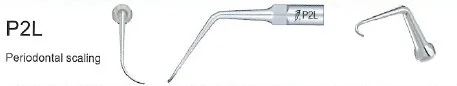 Woodpecker Tip P2L Perio EMS
