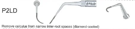 Woodpecker Tip P2LD Perio EMS