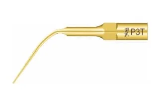 Woodpecker Tip P3T Scaler EMS