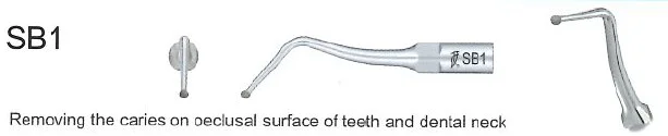 Woodpecker Tip SB1 diam.Cavity EMS
