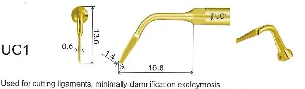 Woodpecker Tip UC1 Exelcymosis EMS