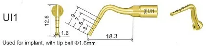 Woodpecker Tip UI1 Impl. EMS