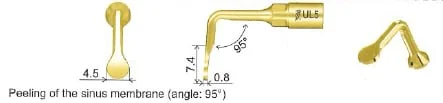 Woodpecker Tip UL5 Sinus L. EMS