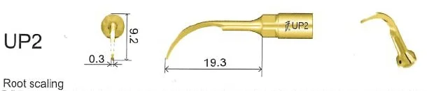 Woodpecker Tip UP2 Perio Mectron