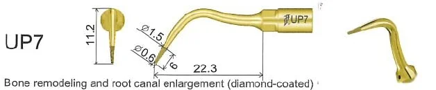 Woodpecker Tip UP7 Perio Mectron
