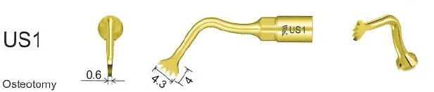 Woodpecker Tip US1 Bone EMS
