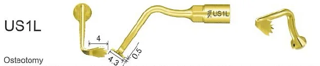 Woodpecker Tip US1L Bone EMS
