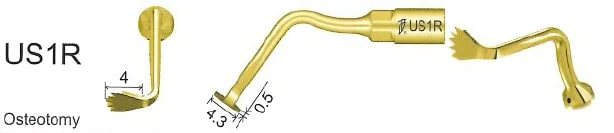 Woodpecker Tip US1R Bone EMS