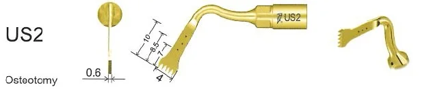 Woodpecker Tip US2 Bone EMS