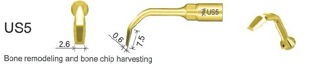 Woodpecker Tip US5 Bone EMS