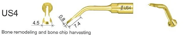 Woodpecker Tip US4 Bone EMS