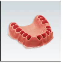 Frasaco Modell Gingiva ÖK
