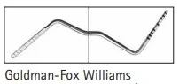 Silver Line Fickmätningsond Goldman-Fox Williams