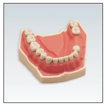 Frasaco Modell AG-3 UK 207