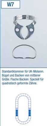 Kofferdamklammer Ivory W7