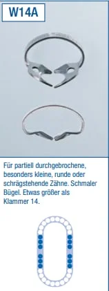 Kofferdamklammer Ivory W14A