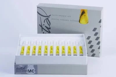 Initial MC Paste opaque kit