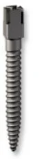 Surtex Rotskruv förgylld Dentatus SL5 15st