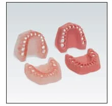 Frasaco Modell Gingiva