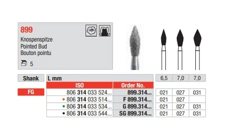 FG Diamantborr 899.031 5st