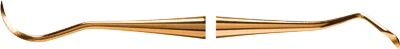Scaler N1XPX