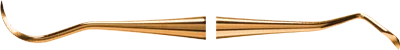 Scaler N1XPZ