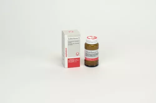 Endomethasone N Pulver 14g