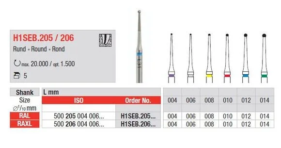 Vst Endoborr H1SEB.205.004 L 5st