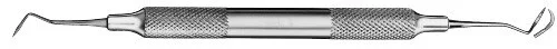 Scaler Ergo