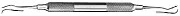 Scaler Ergo