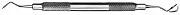Scaler Taylor