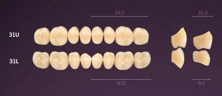 Idealis 8, A1 / 31 U, CE