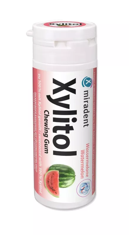 miradent Xylitol Chewing Gum Melone 30st