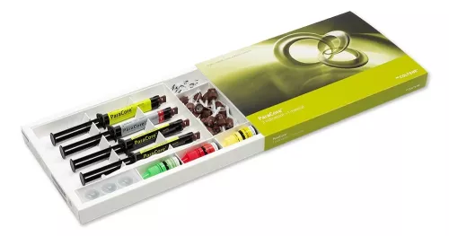 ParaPost Paracore Automix 5ml Introkit