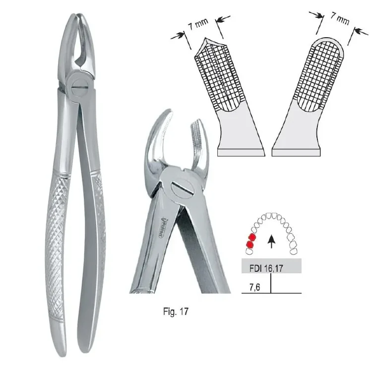 Extraktionstång European pattern fig. 17